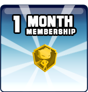 1 Month Package